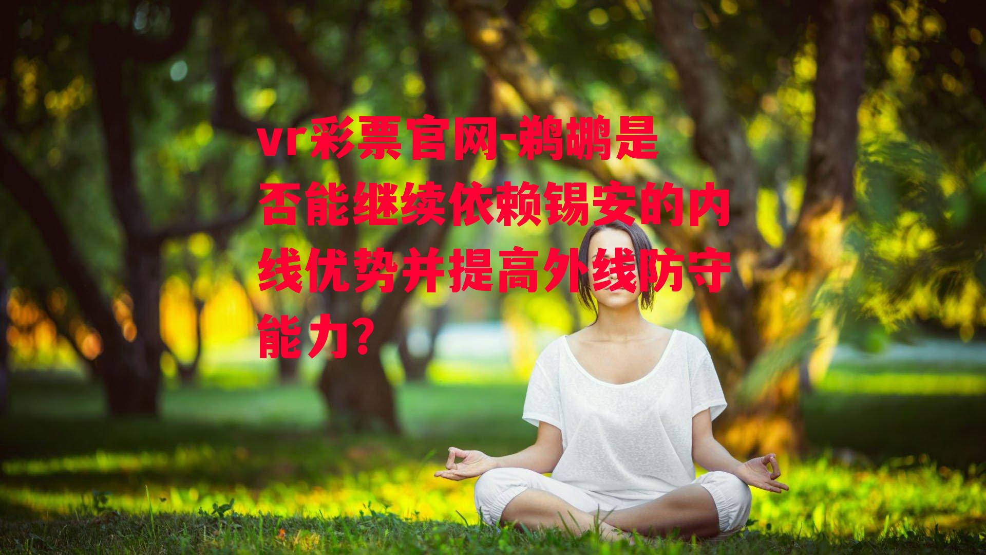 鹈鹕是否能继续依赖锡安的内线优势并提高外线防守能力？